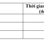 liều dùng 4mg nicorette