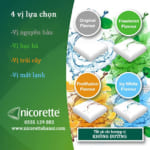 nicorette 2mg-huong vi-VN