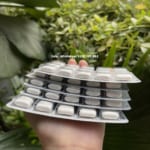 keo_cai_thuoc_la_nicorette_gum_2mg_chinh_hang_05