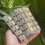 keo_gum_cai_thuoc_la_nicorette_2mg_classic-hop_210_vien_chinh_hang_07