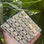 keo_gum_cai_thuoc_la_nicorette_2mg_classic-hop_210_vien_chinh_hang_08