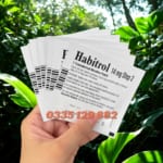 habitrol_patch_14mg_step2_03