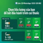 lieu_luong_mieng_dan_nicorette_nhu_the_nao