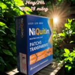 mieng-dan-cai-thuoc-la-niquitin-14mg-chinh-hang-04