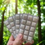 Kẹo gum cai thuốc lá Nicorette 2mg chính hãng