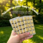 keo-gum-cai-thuoc-la-nicorette-4mg-5-vi-le-75-vien