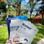 mieng-dan-nicotinell-21mg-le-7-mieng