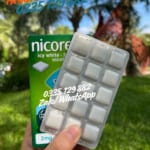nicorette-gum-2mg-icy-white-105-pieces-