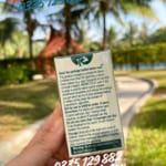 thong-so-vien-ngam-cai-thuoc-nicorette-lozenge-4mg